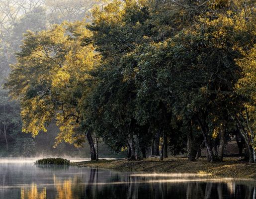 Foto - Lago Municipal Iria da Motta e Silva