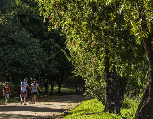 Foto - Lago Municipal Iria da Motta e Silva