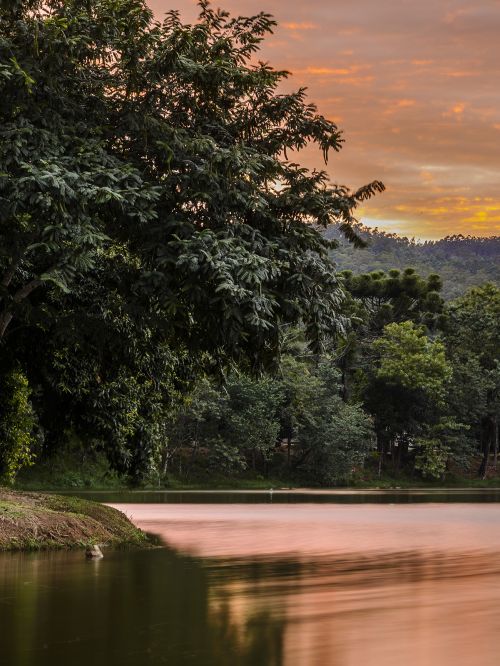 Lago Municipal Iria Mota e Silva